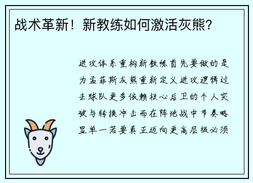 战术革新！新教练如何激活灰熊？
